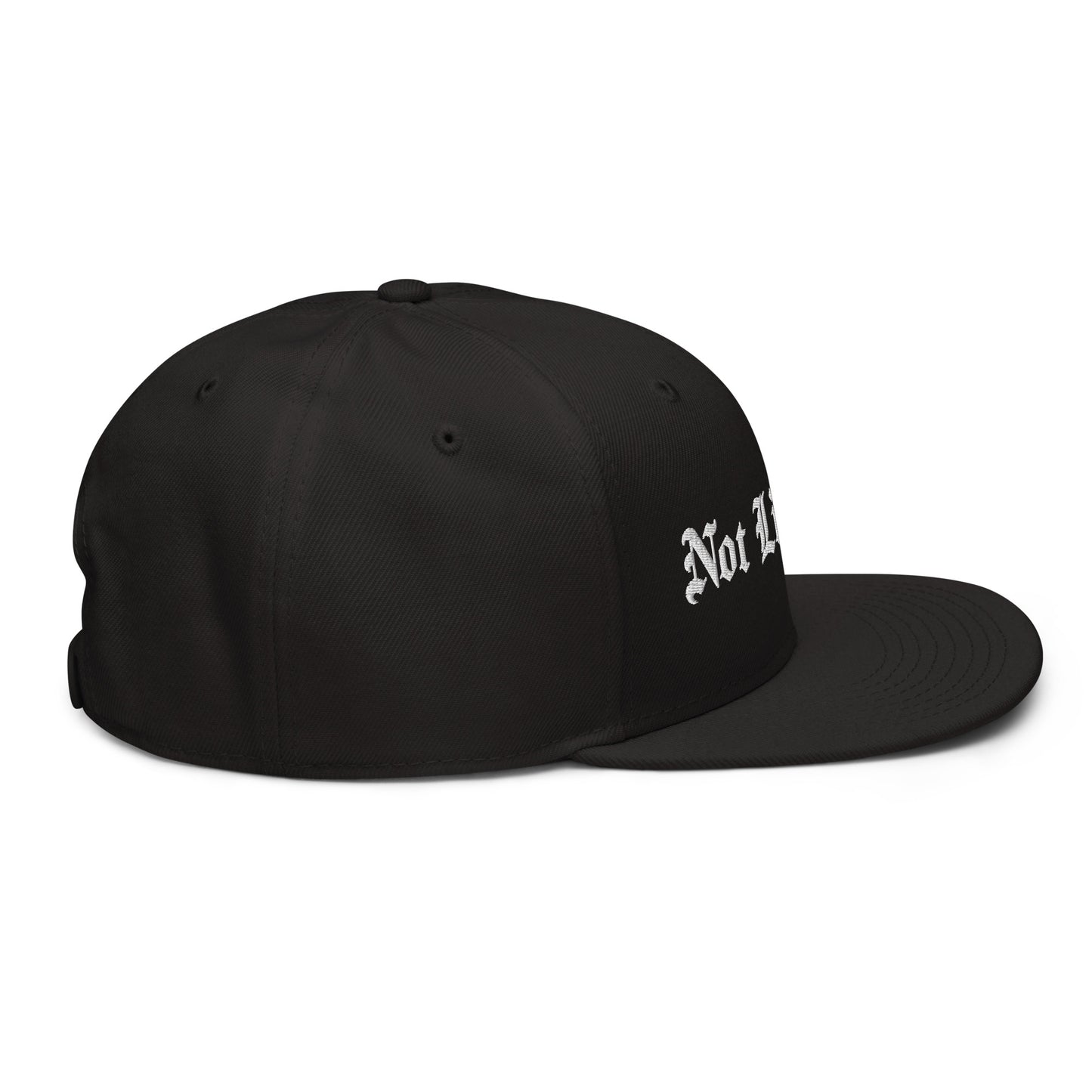 Not Like Us Snapback Hat